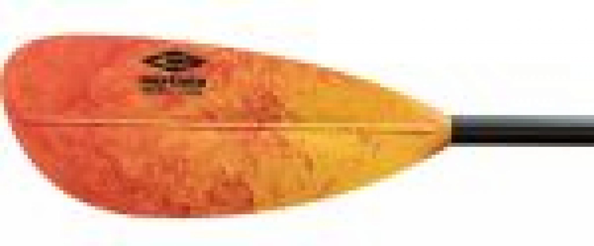 10 Best Budget Kayak Paddles for 2022 Ultimate Buyer's Guide