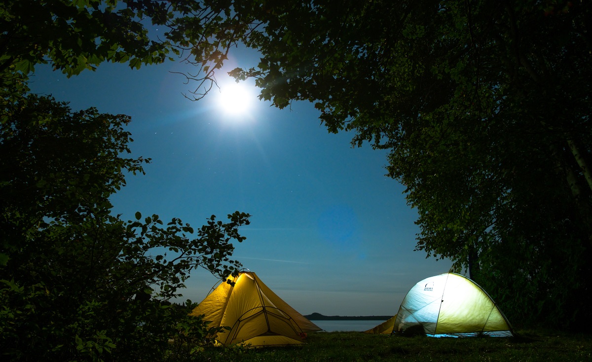 two tents stand in the forest at night