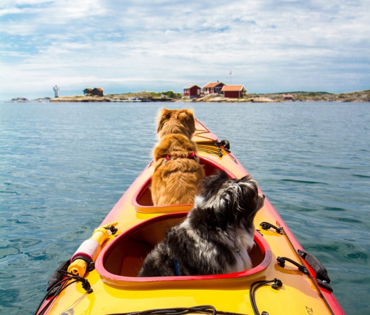 Best Kayak for Dogs in 2022 11 Top DogFriendly Kayaks Reviewed