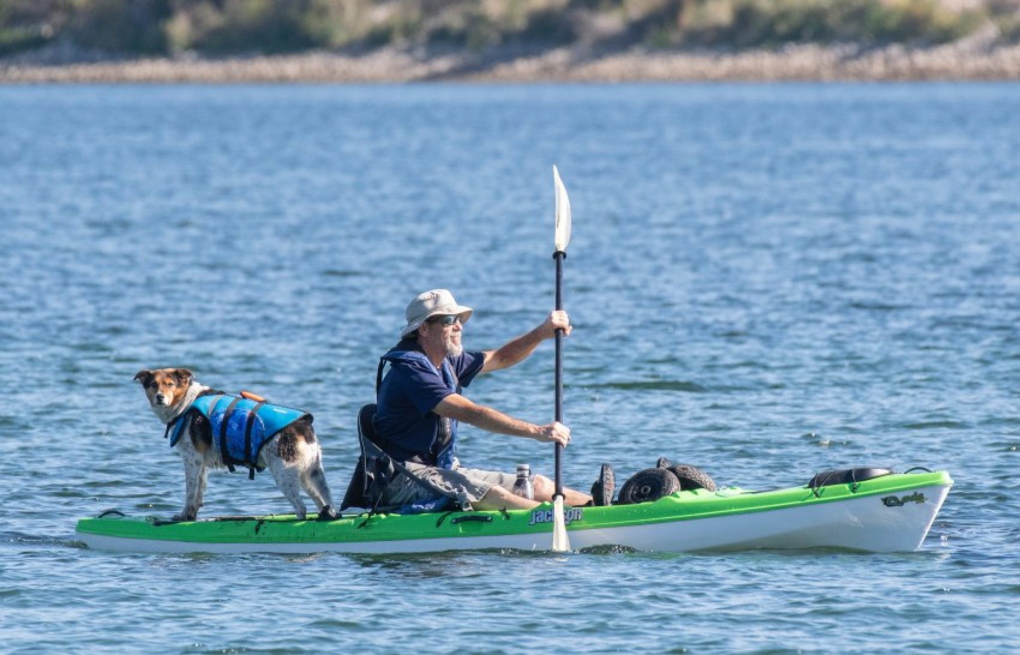 Best Kayak for Dogs in 2023: 10 Top Dog-Friendly Kayaks Reviewed ...