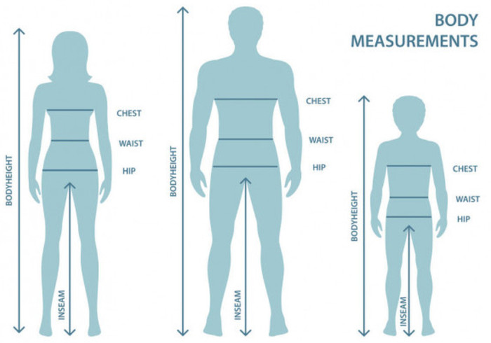 Schematic representation of various human body measurements