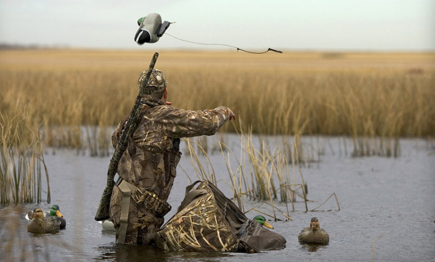 A hunter deploying his duck decoys on the water