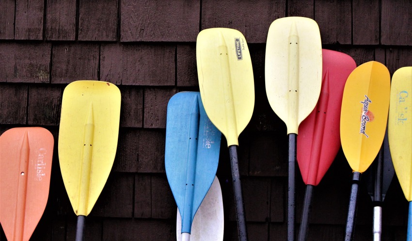 Several paddles of different colors standing against the wall