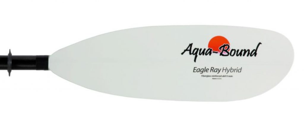Aqua-Bound Eagle Ray