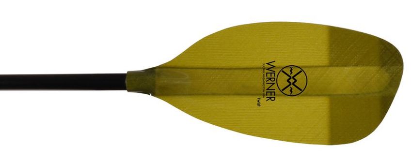 Werner Twist