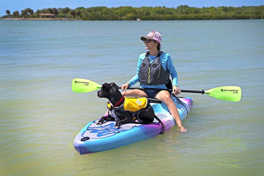A lady and a dog are on a paddleboard kayak hybrid