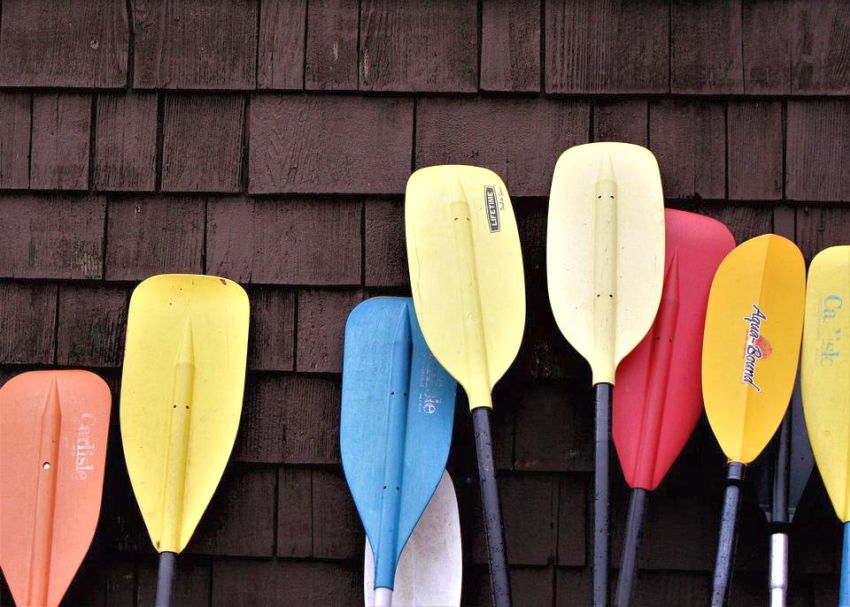 Several paddles of various colors leaned against the wall