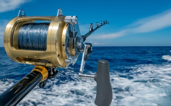 Fishing Near Me: A FREE Interactive Map of the Best Places to Fish