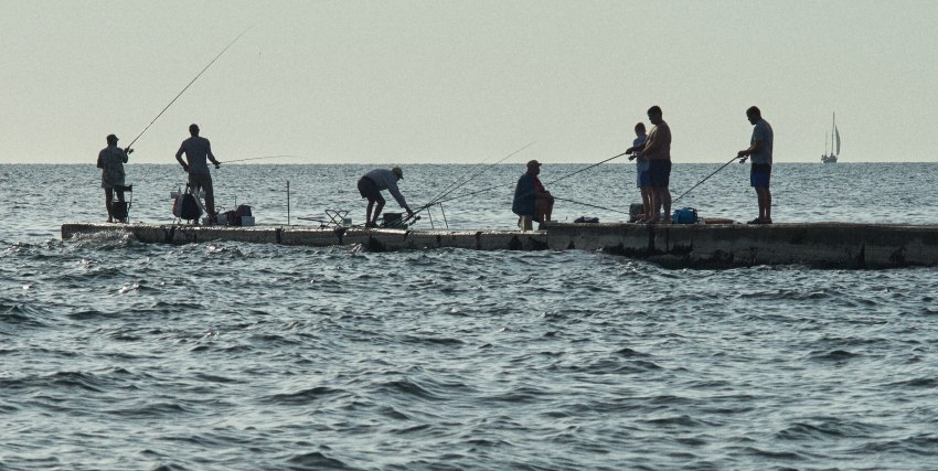 A group of anglers with fishing rods stands on a sea pier