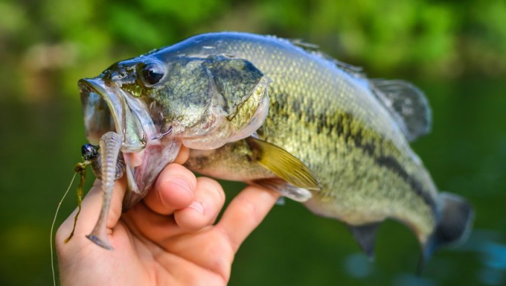 Fishing Near Me A FREE Interactive Map of the Best Places to Fish