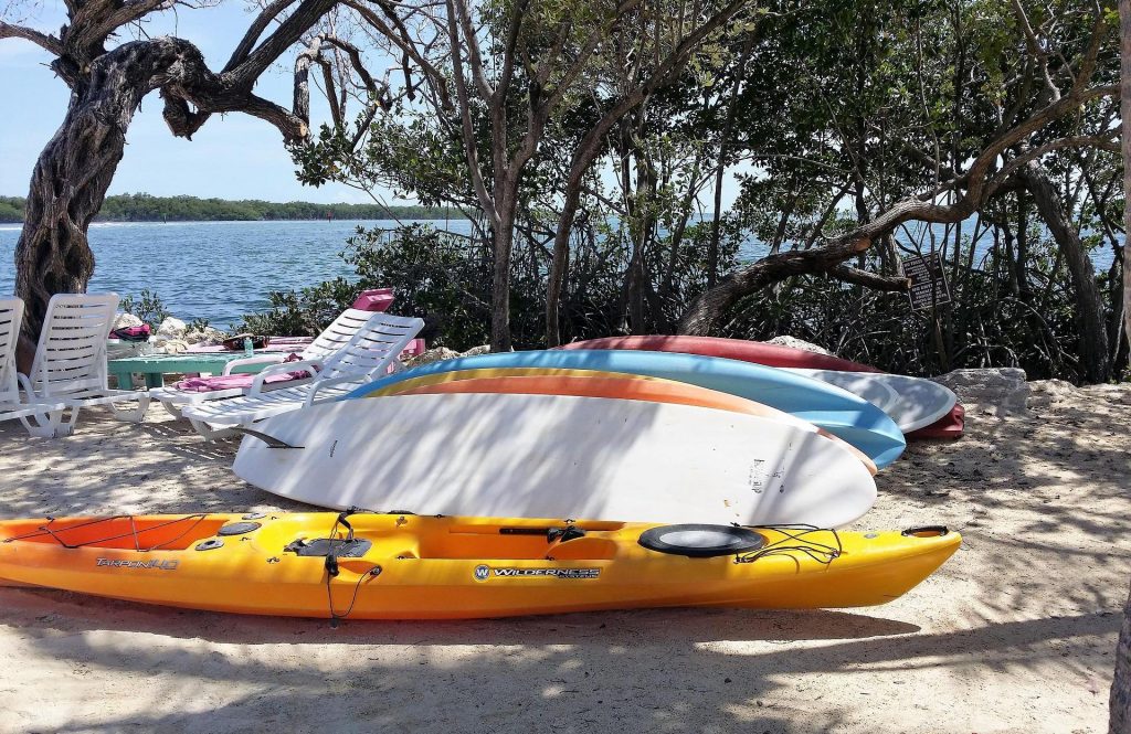 Best Kayaking in Florida Top Places to Kayak in the Sunshine State