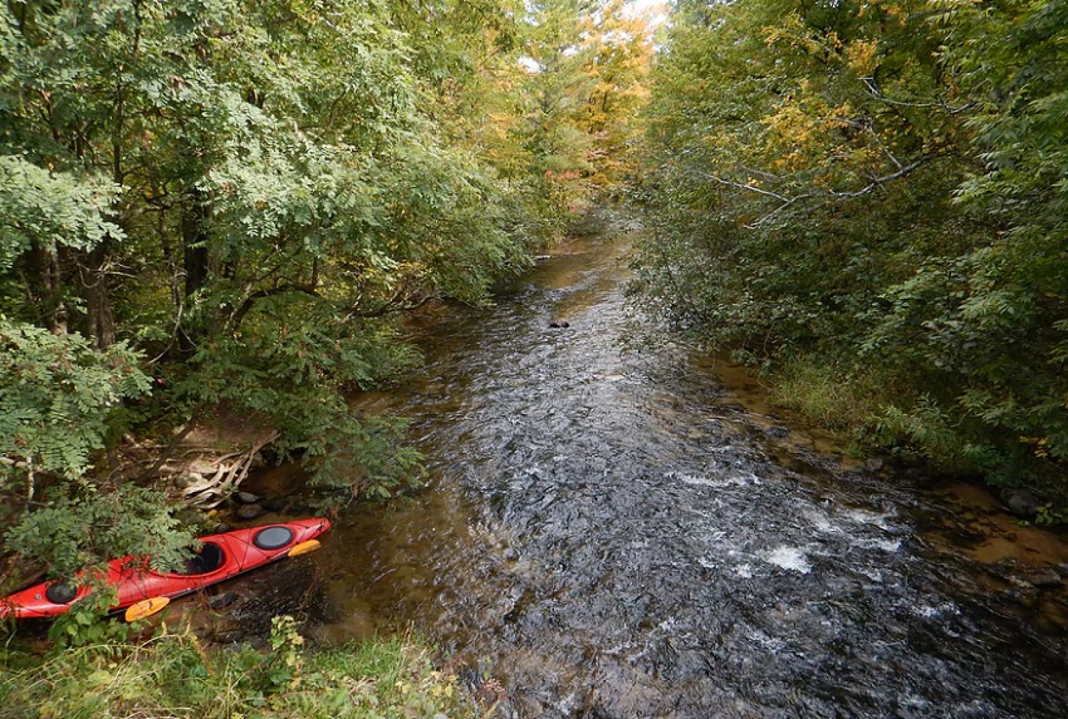 Places to Kayak in Wisconsin Best Kayaking Spots in the Badger State