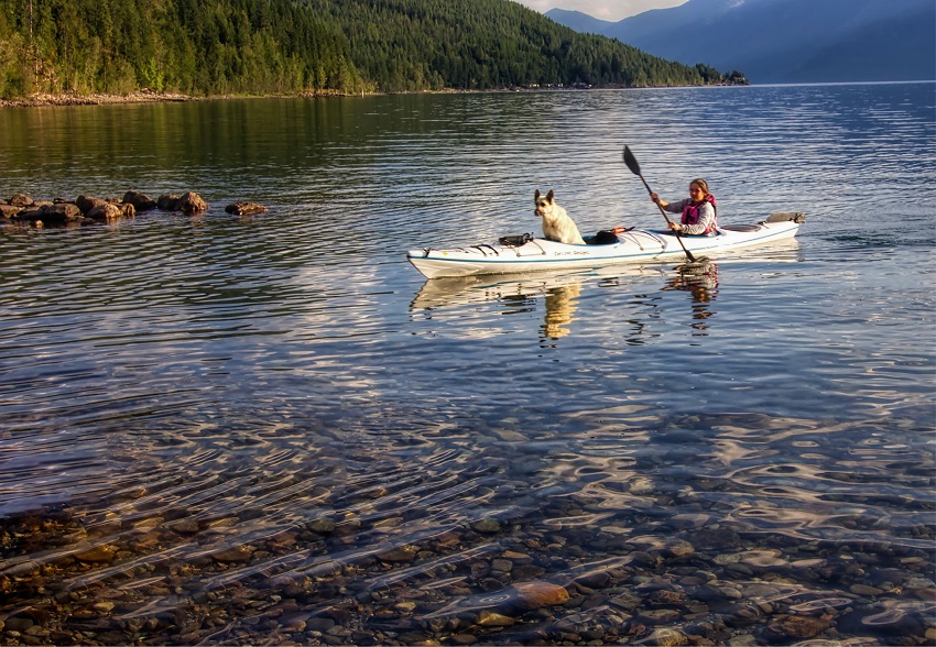 A girl, accompanied by her dog, paddles a white tandem kayak