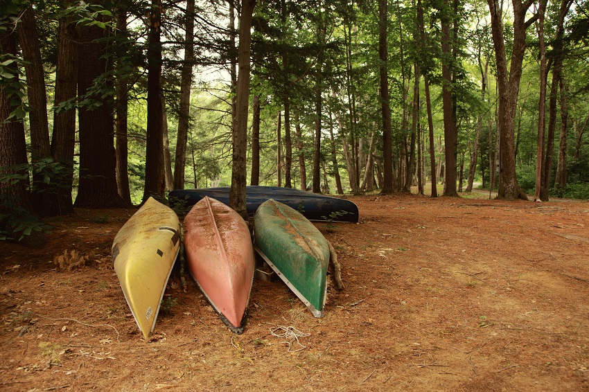 Yellow, red, green and blue canoes lie capsized amidst the forest