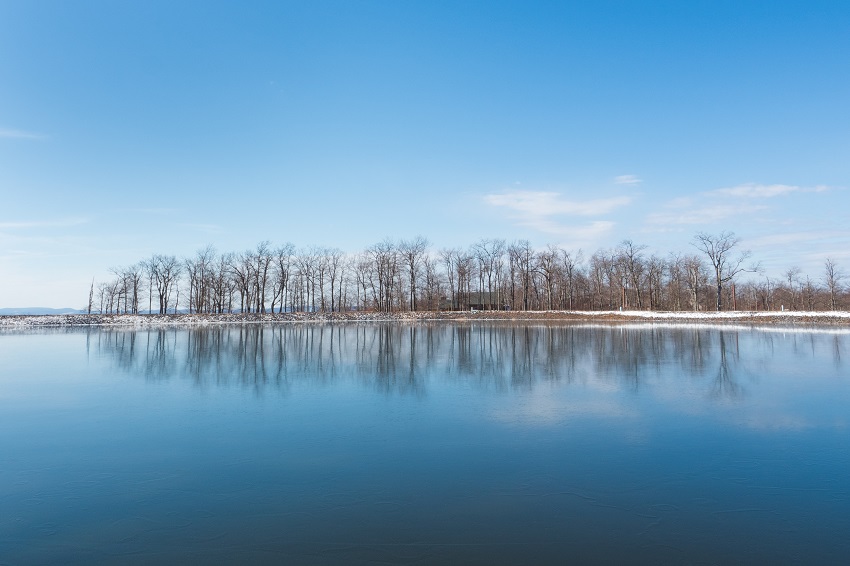 Winter trees' reflection in the Deep Creek Lake. Maryland