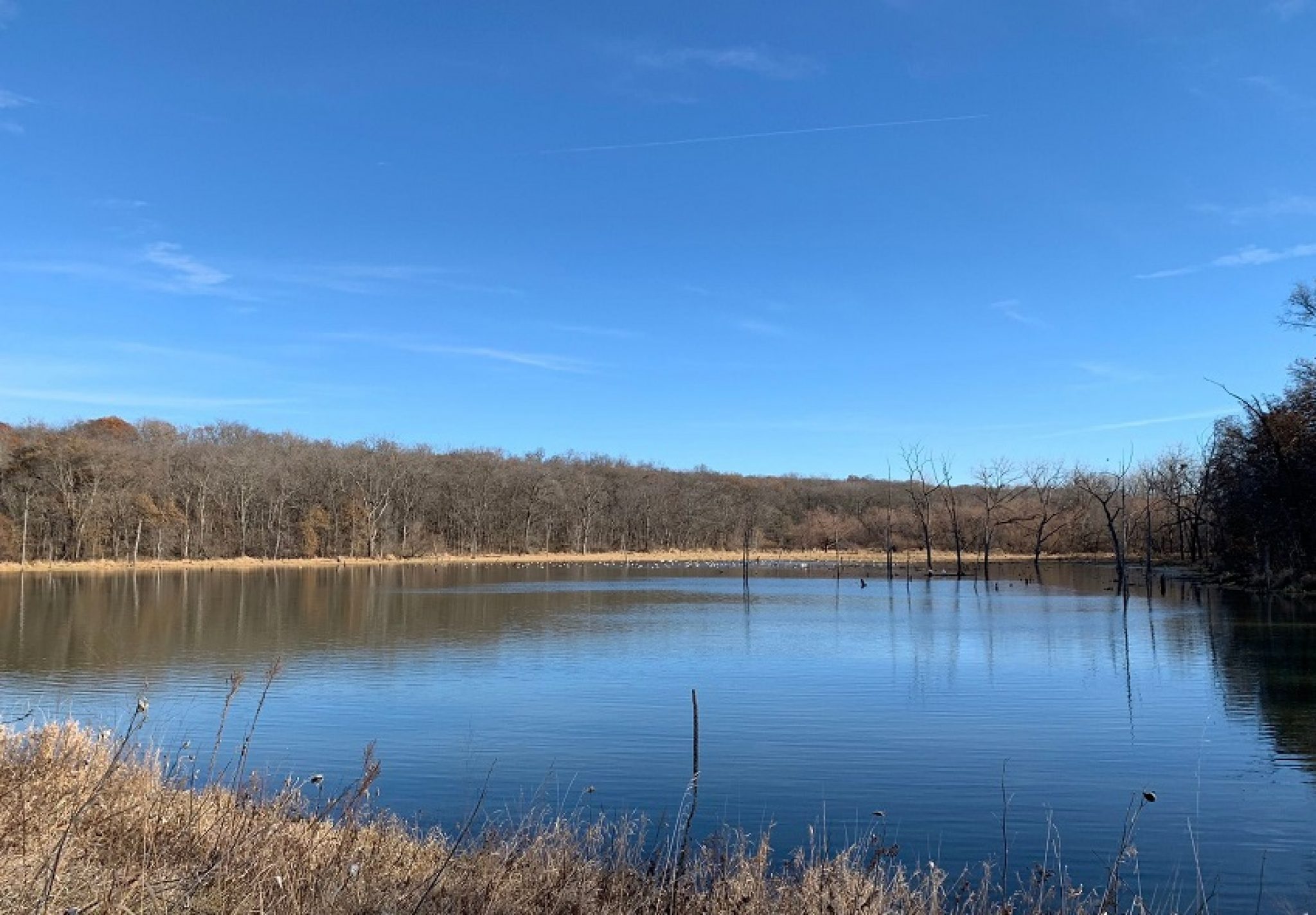 Places to Kayak in Iowa