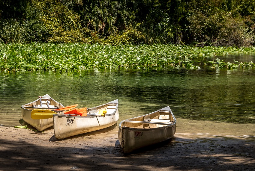 Three white canoes with paddles inside are parked near the waterline