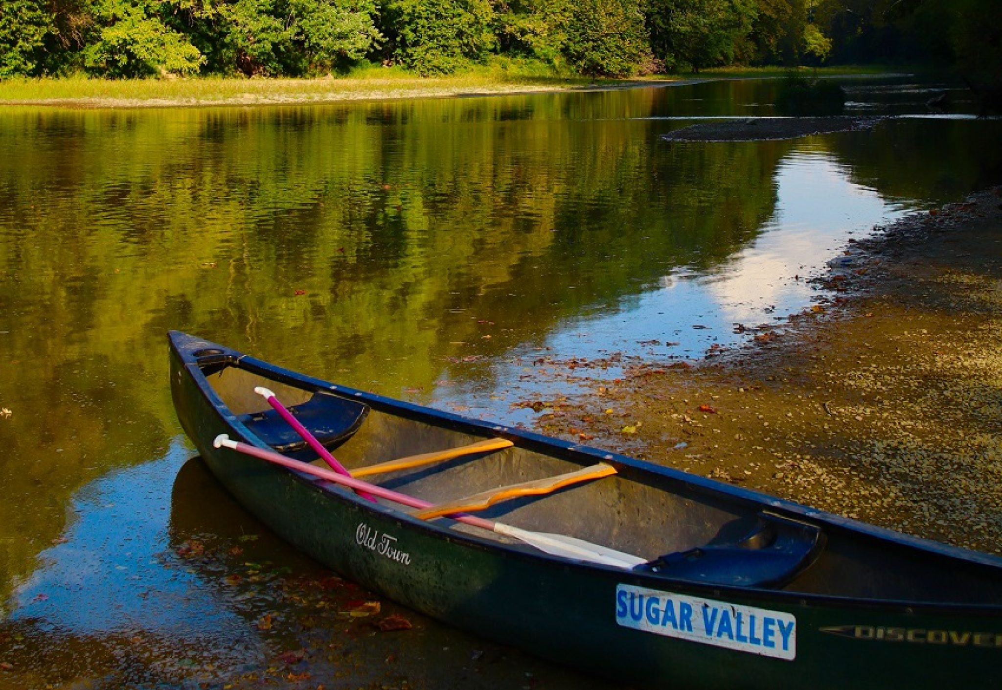 How Much Does a Canoe Cost?