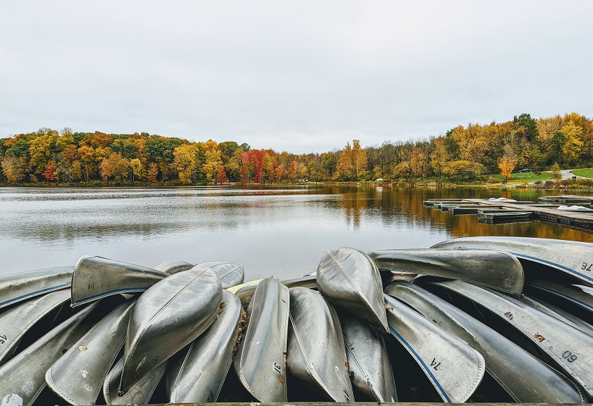 Multiple aluminum canoes are stored on a lake shore