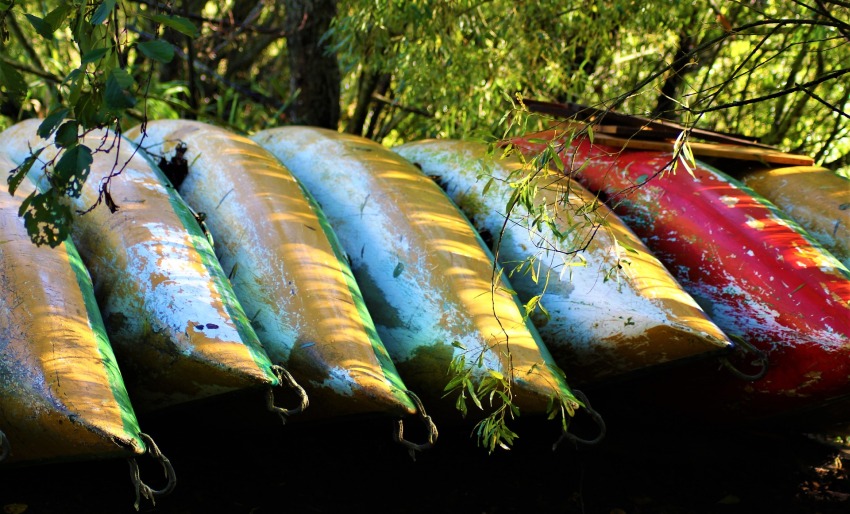 Multiple old canoes lie on the ground
