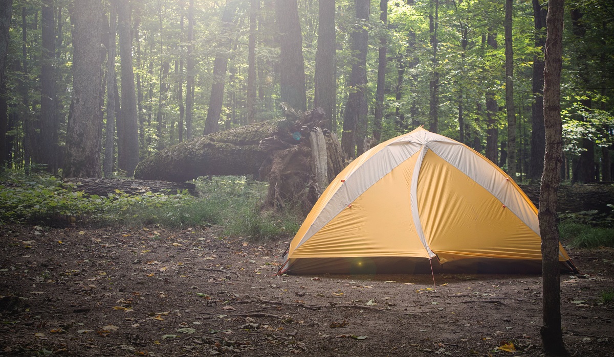 An orange tent is set up in a foggy forest