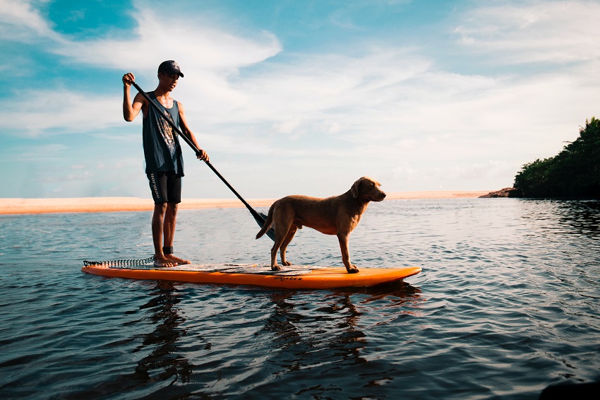 A boy with a dog paddles an orange stand up paddle board