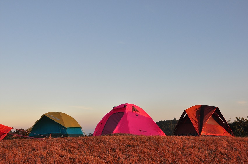 Three camping tents of different types are pitched in the field