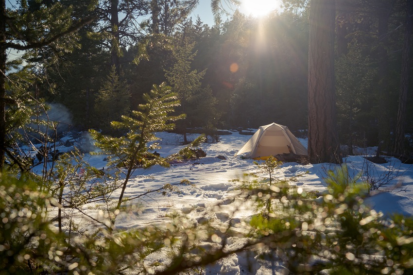 A tent  is set up on snow in a forest