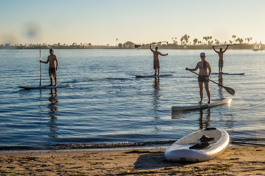 A woman and three men with paddles stand on their paddle boards on a lake 