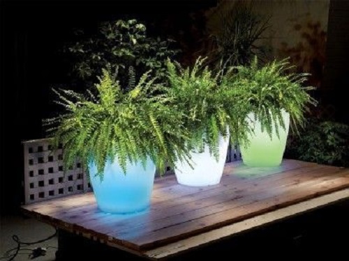 Three glowing planters 