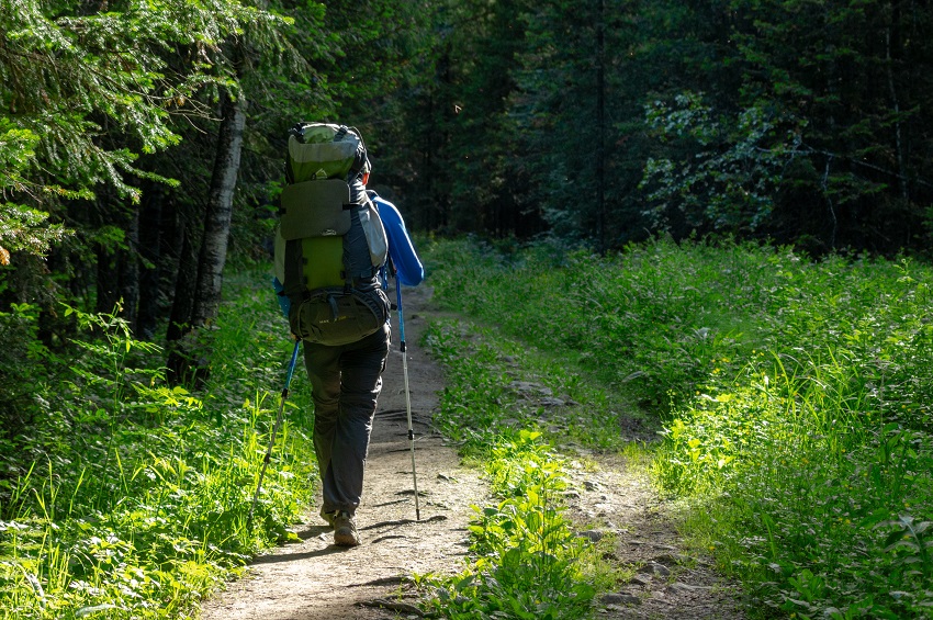 A hiker with a backpack walks in the forest