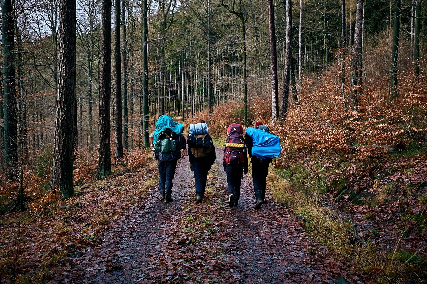 Four tourists with backpacks walk in the autumn forest
