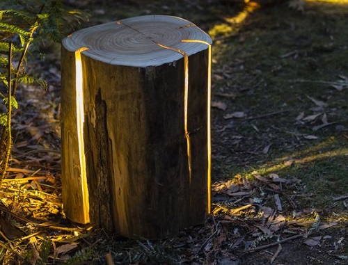 A log lamp 