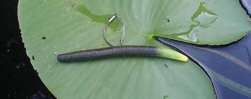 Wacky rig with a weedless hook