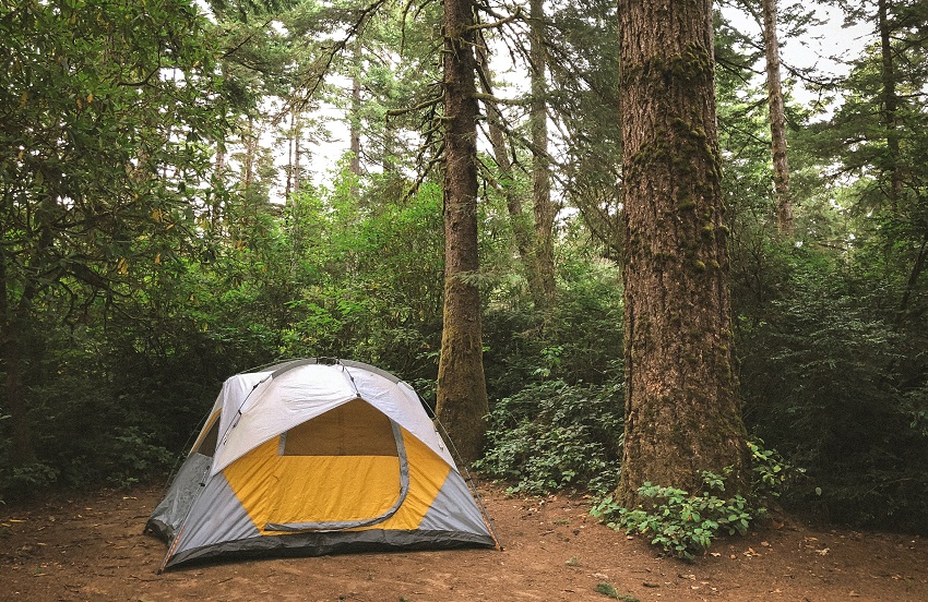 An orange tent with a hinged door pitched in the forest