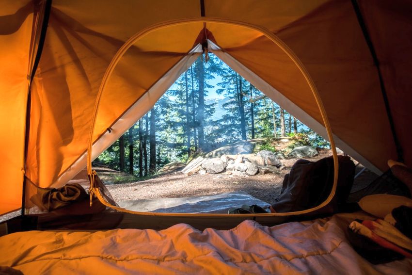 A picturesque forest view from inside of an orange tent