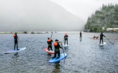 A group of people paddles boards of different colors and sizes