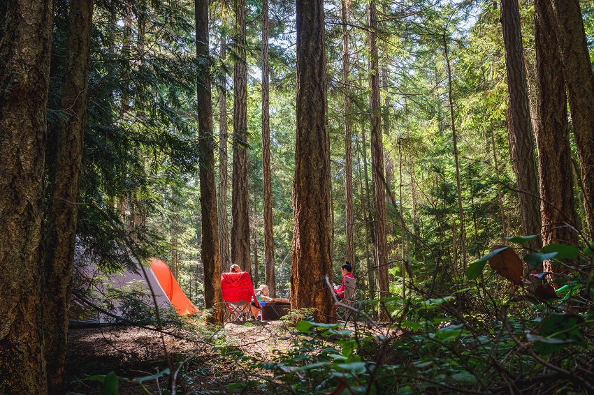 A group of campers sit in camping chairs near their tents in the forest