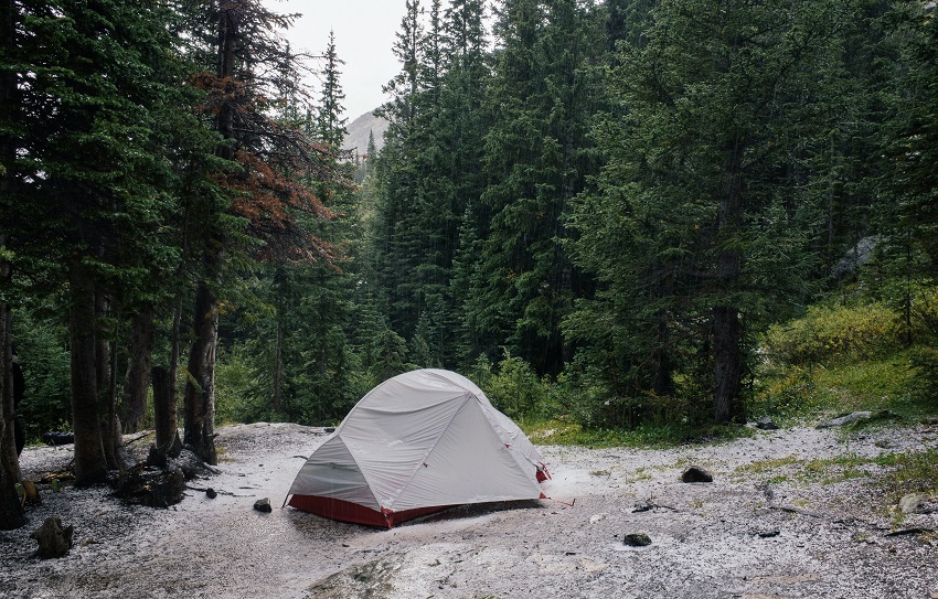 A tent is pitched in a forest in rainy weather