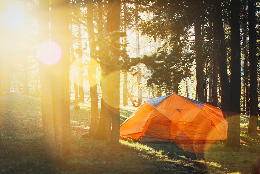An orange tent pitched in a sunny forest
