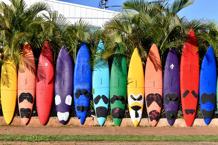 Paddle boards of different colors stand on a road under palms 