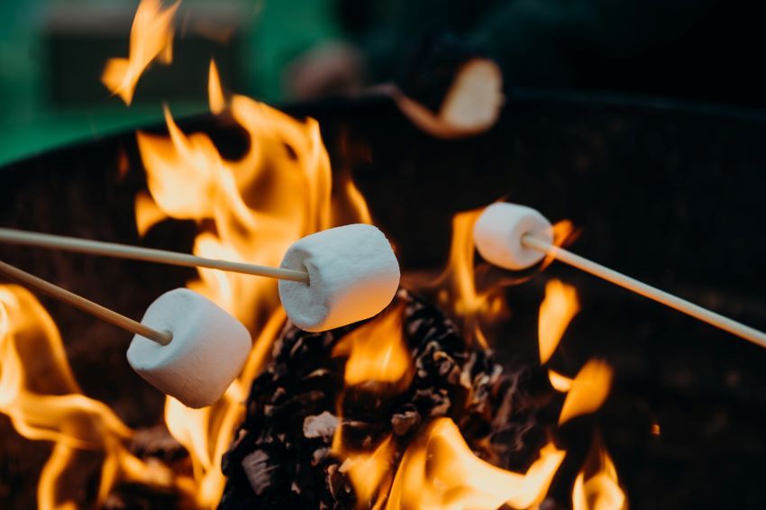 Marshmallows are roasted on a fire