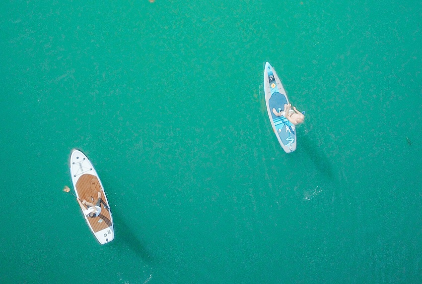 Two men paddle their SUPs on green water 