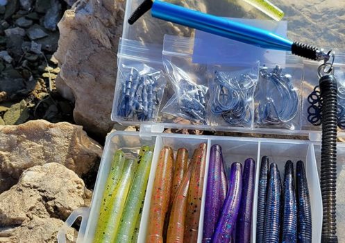 Tête De Jig Neko ShroomZ Ned Rig - Z-MAN - Dépôt Chasse & Pêche - Foto 14