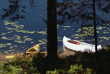 Kayak vs. Canoe: Differences and Benefits